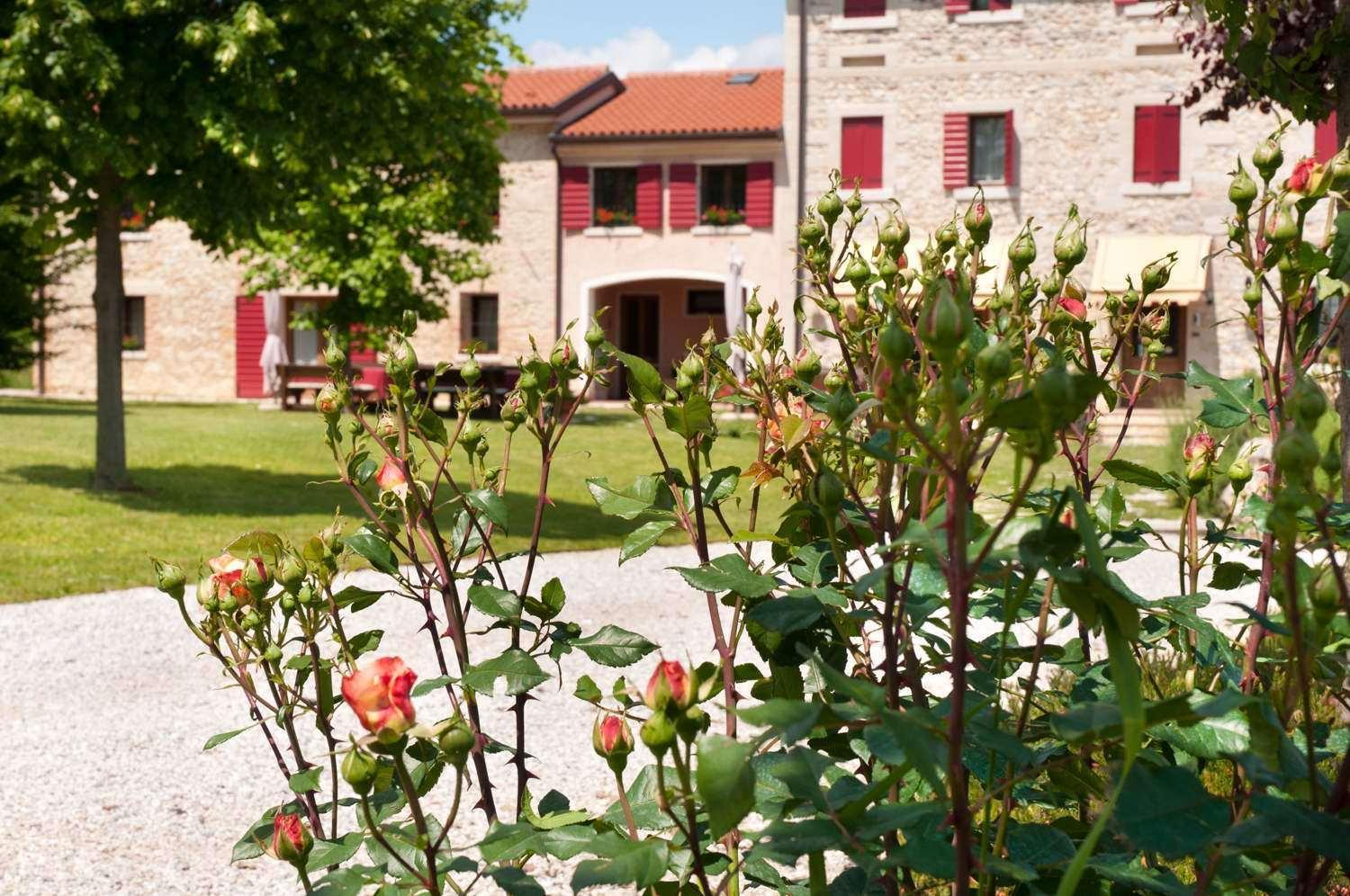 Agriturismo Prime Gemme Nervesa della Battaglia Eksteriør bilde